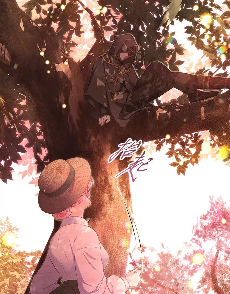 《我要和女主的妹控哥哥离婚》36.风波暂停 第99页