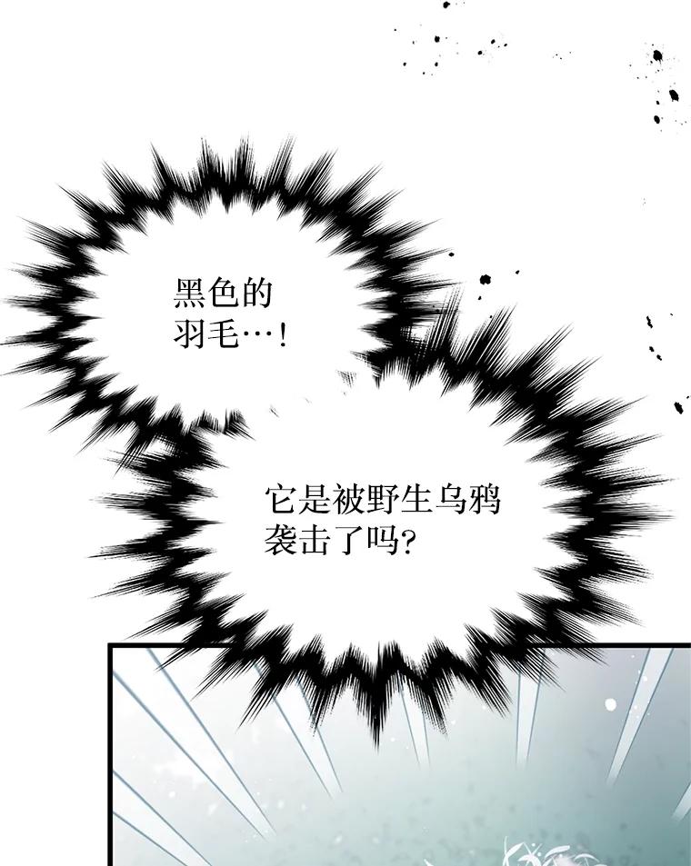 《必须先从丧尸堆里活下来的XX的情况》39.活着的意义 第39页