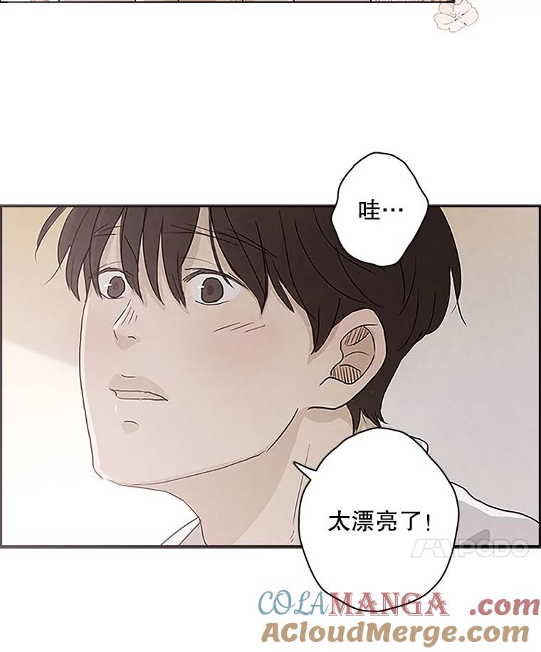 《消失的新郎》1.知人知面不知心 第69页