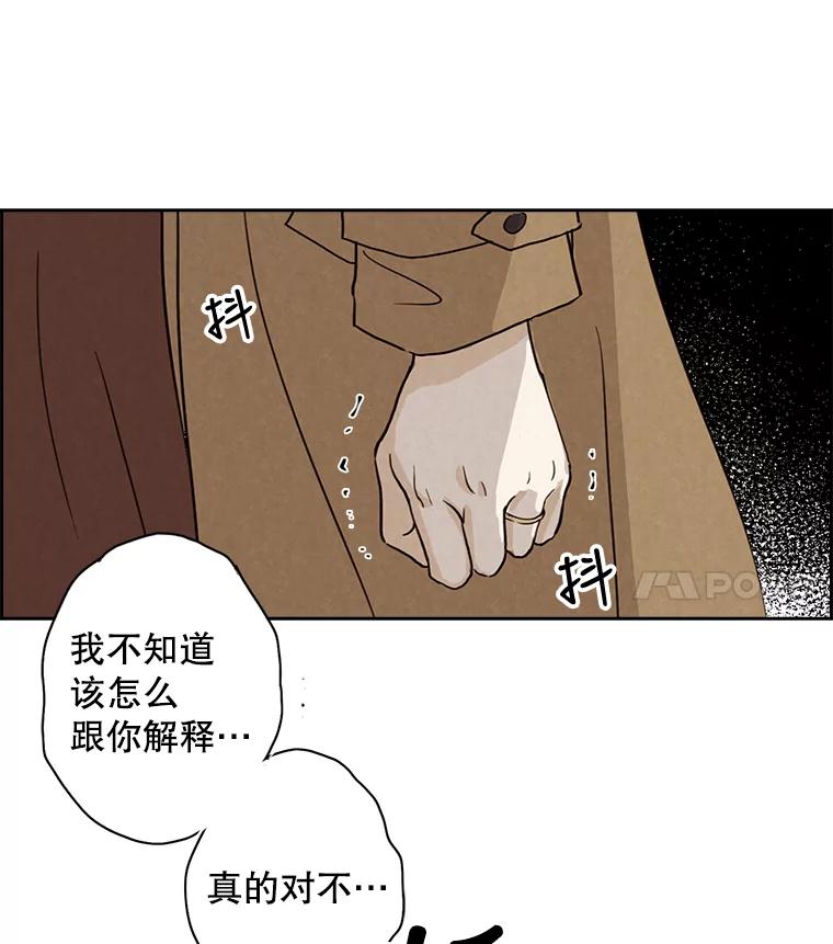 《消失的新郎》11.终于找到他了！ 第12页
