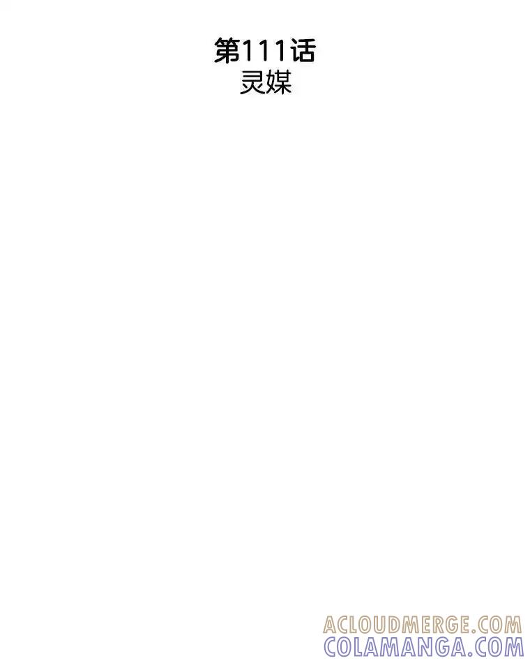 《消失的新郎》111.灵媒 第13页