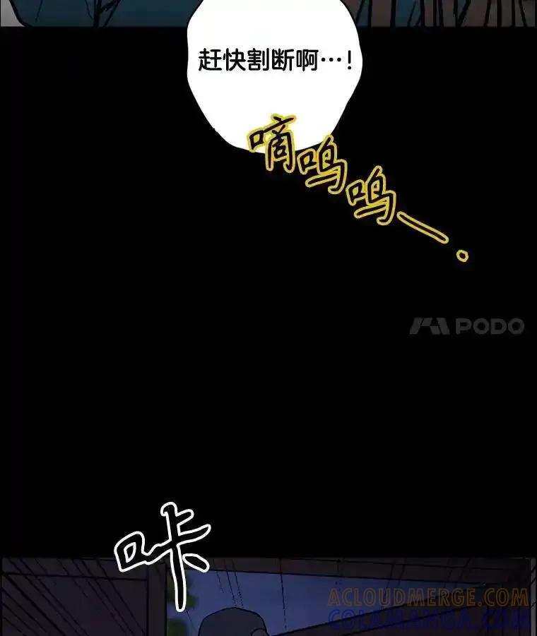 《消失的新郎》111.灵媒 第45页