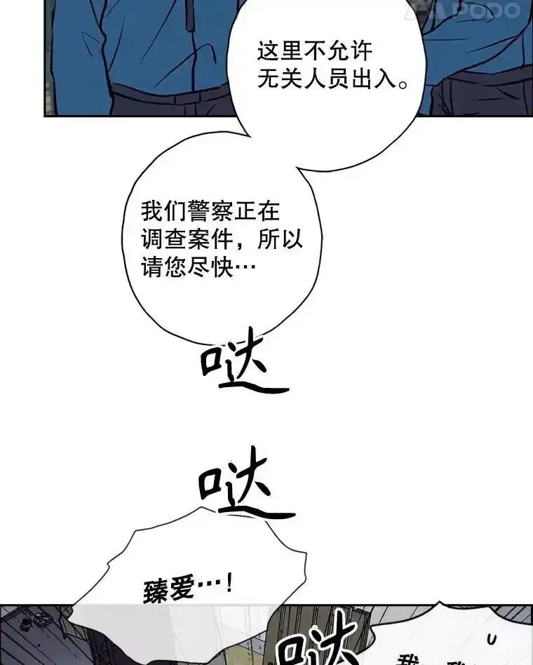 《消失的新郎》111.灵媒 第35页