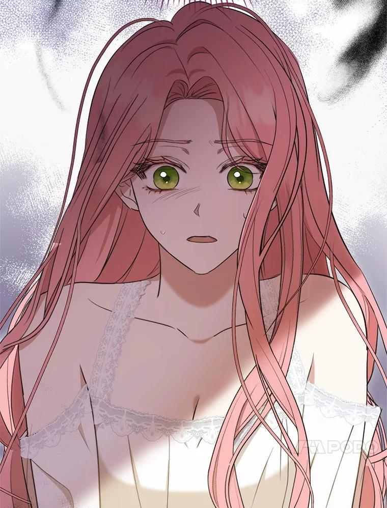 《菲奥尼：预见我与恶魔大公的未来》11.准备查明原因 第27页