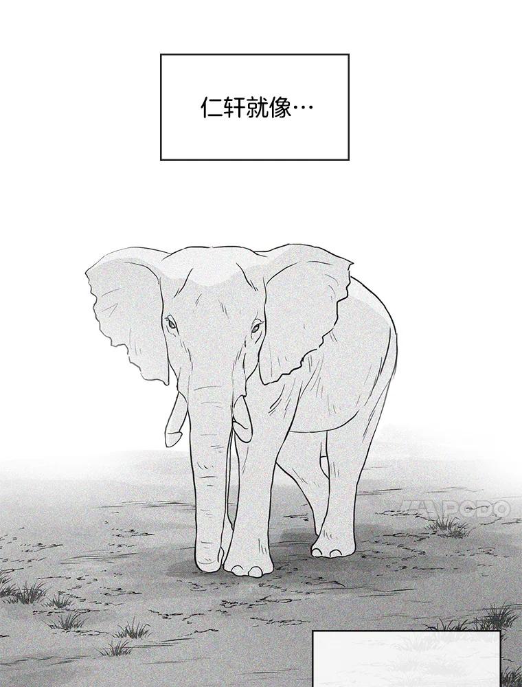 《消失的新郎》13.吴仁轩的过去 第48页