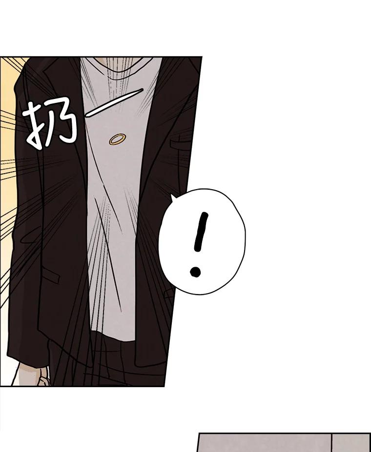 《消失的新郎》14.误会和事实 第95页