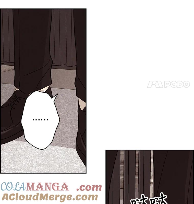 《消失的新郎》15.离别总是痛彻心扉 第13页