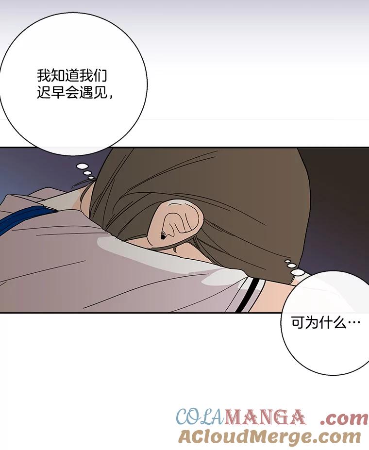《追逐光的爱恋》27.危机 第61页