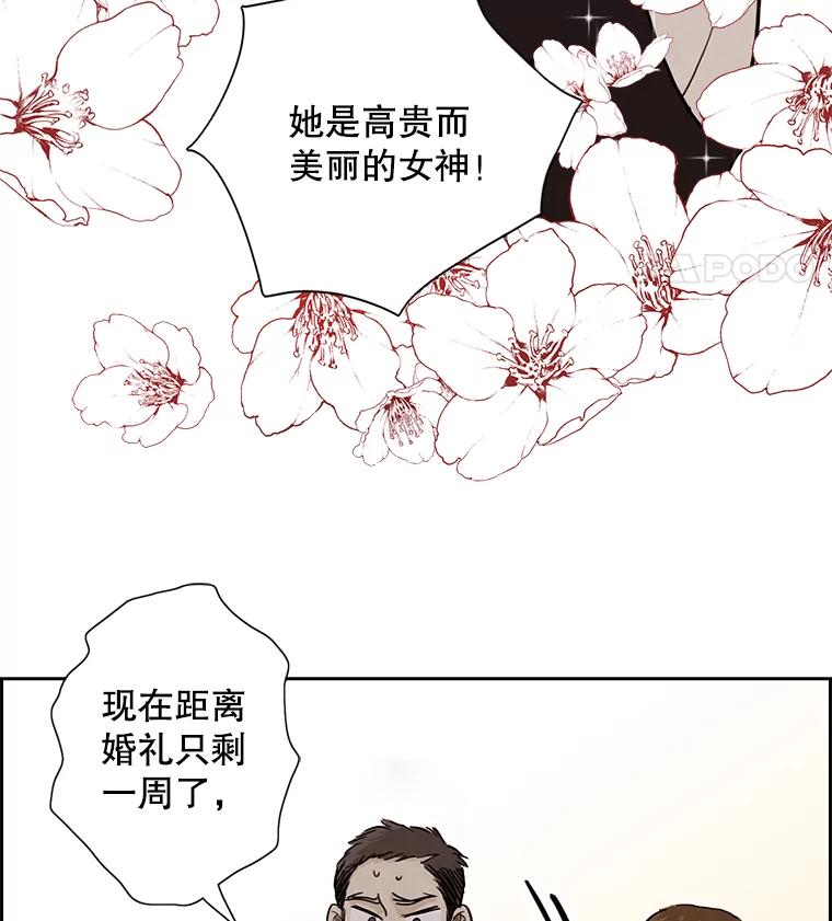 《消失的新郎》3.下定决心 第36页