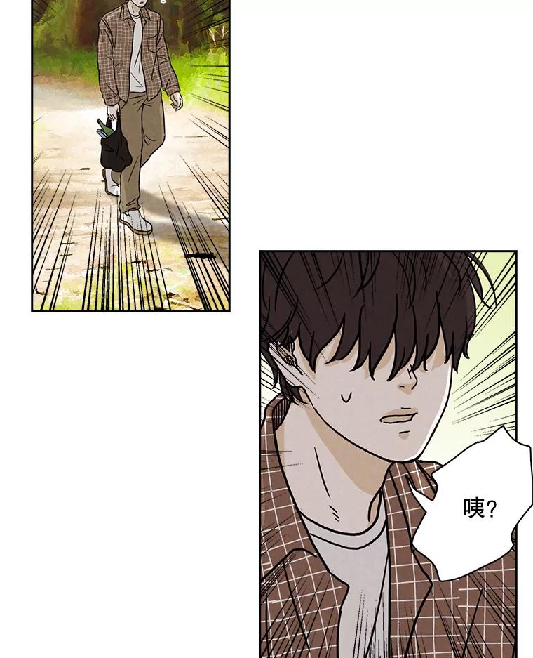 《消失的新郎》4.初见 第62页