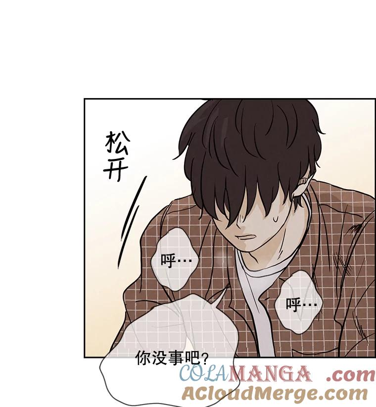 《消失的新郎》4.初见 第73页