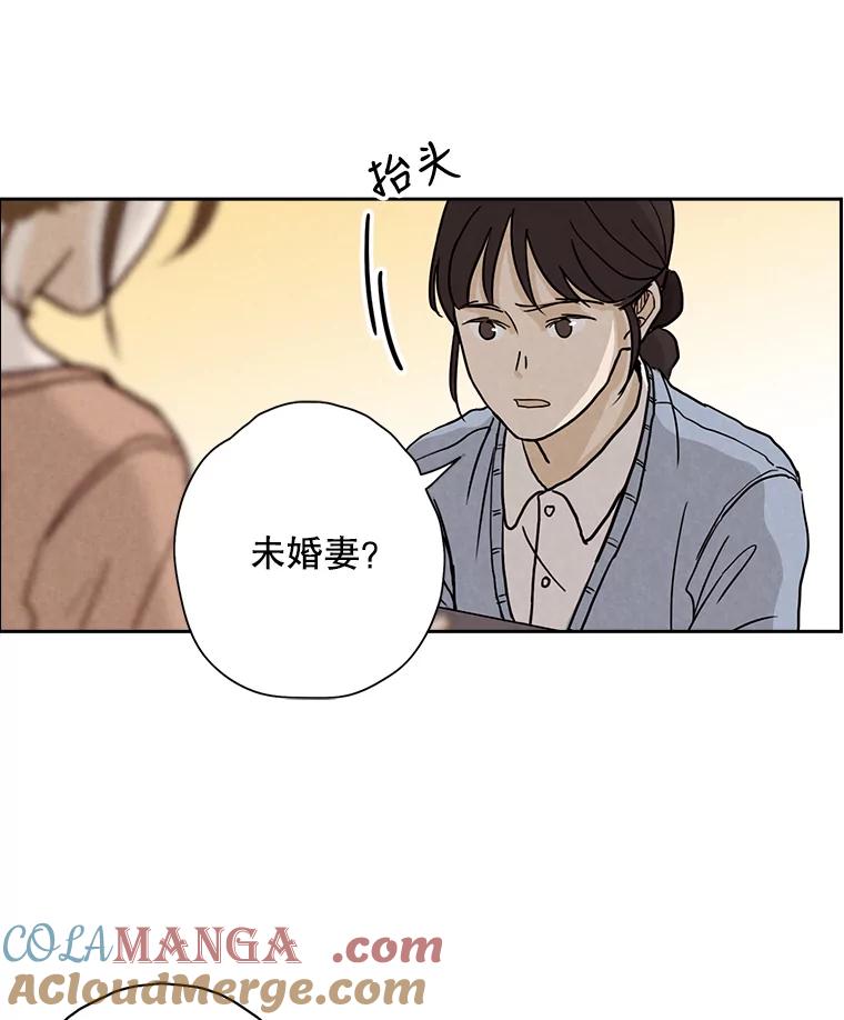 《消失的新郎》6.谎言 第31页