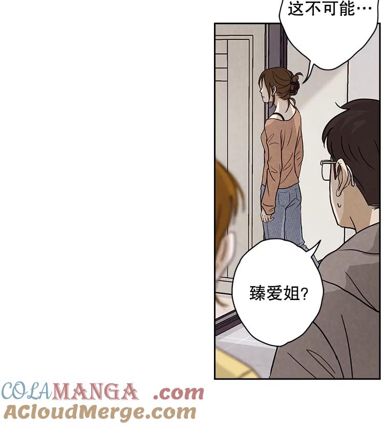 《消失的新郎》6.谎言 第55页
