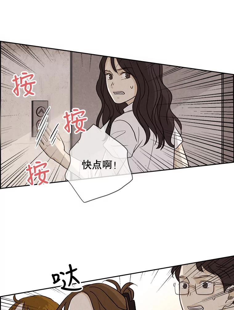 《消失的新郎》7.寻找 第17页
