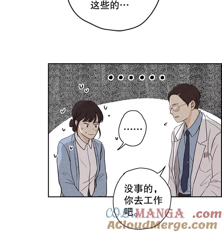 《消失的新郎》7.寻找 第31页
