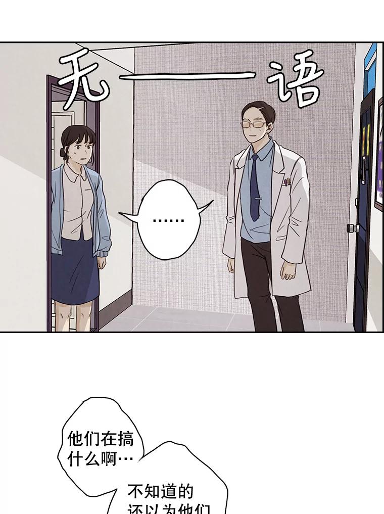 《消失的新郎》7.寻找 第27页