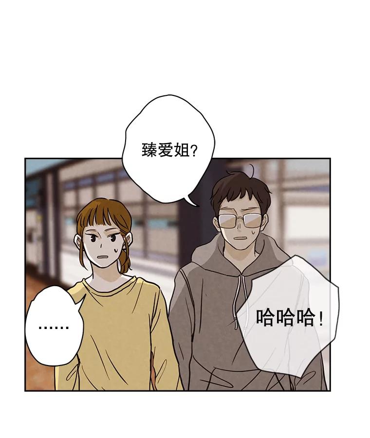 《消失的新郎》7.寻找 第53页