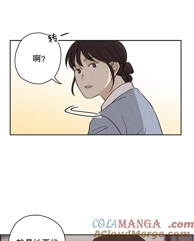 《消失的新郎》7.寻找 第34页