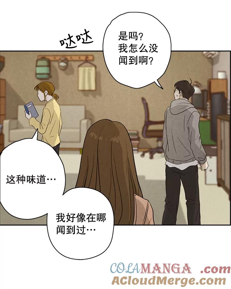 《消失的新郎》8.他的秘密 第43页