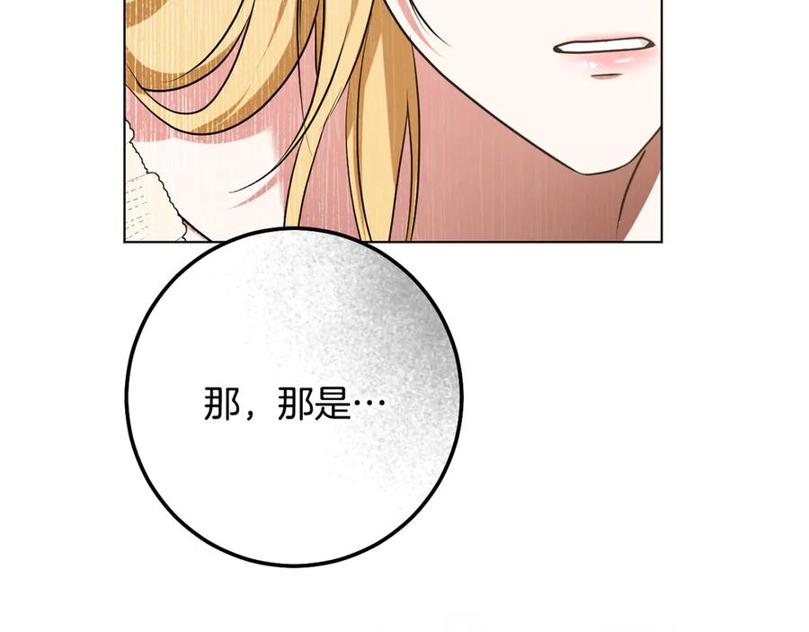 冒牌圣女等待离场 第99话 苦苦追寻30年 第112页