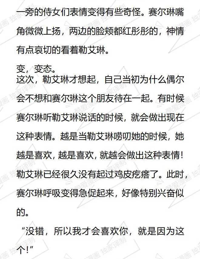《小说版被遗弃的王女的秘密卧室》第41话 第4页