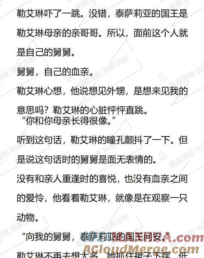 《小说版被遗弃的王女的秘密卧室》第46话 第17页