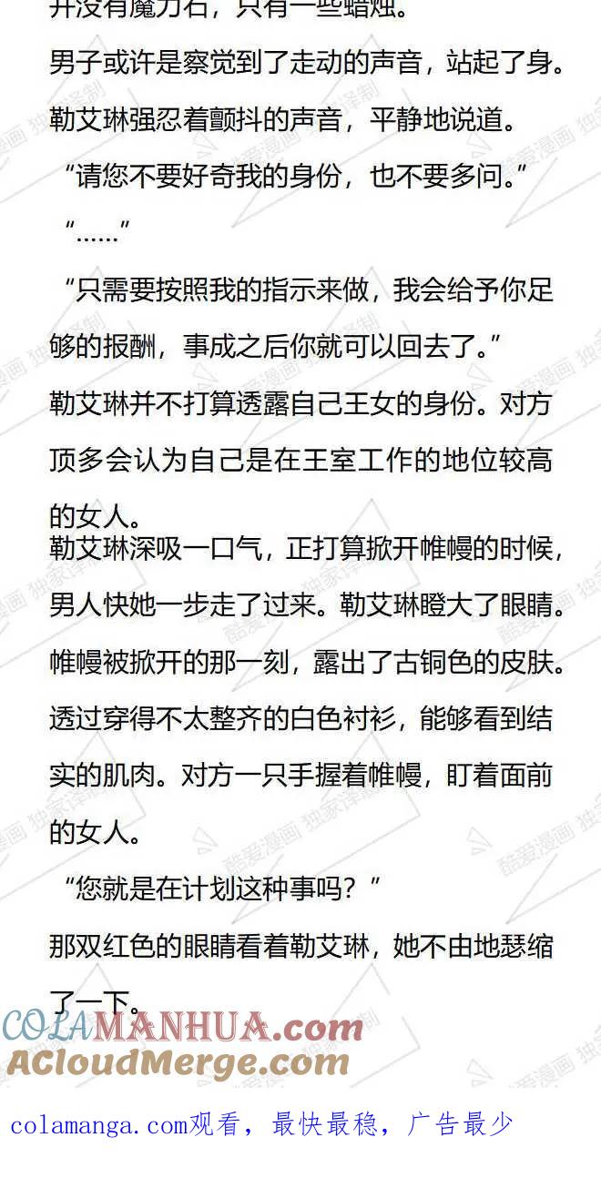 《小说版被遗弃的王女的秘密卧室》第87话 第15页