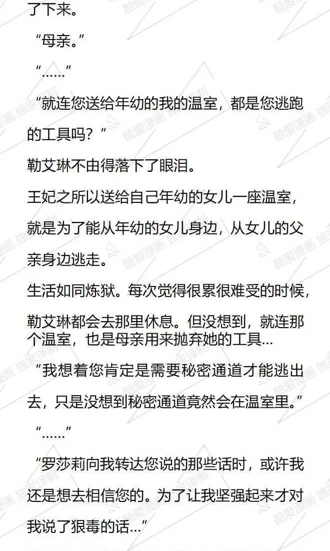 《小说版被遗弃的王女的秘密卧室》第122话 第12页