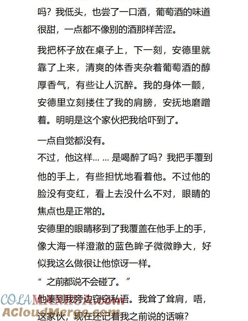 《小说版重生：被指名为公爵的女仆》第76话 醉酒的安德里 第4页