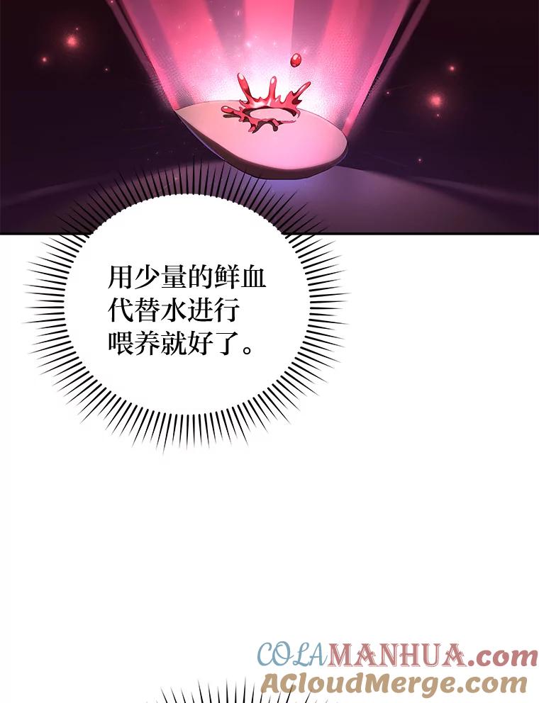 《小说里的叛逆路人甲》24.爱的告白 第13页