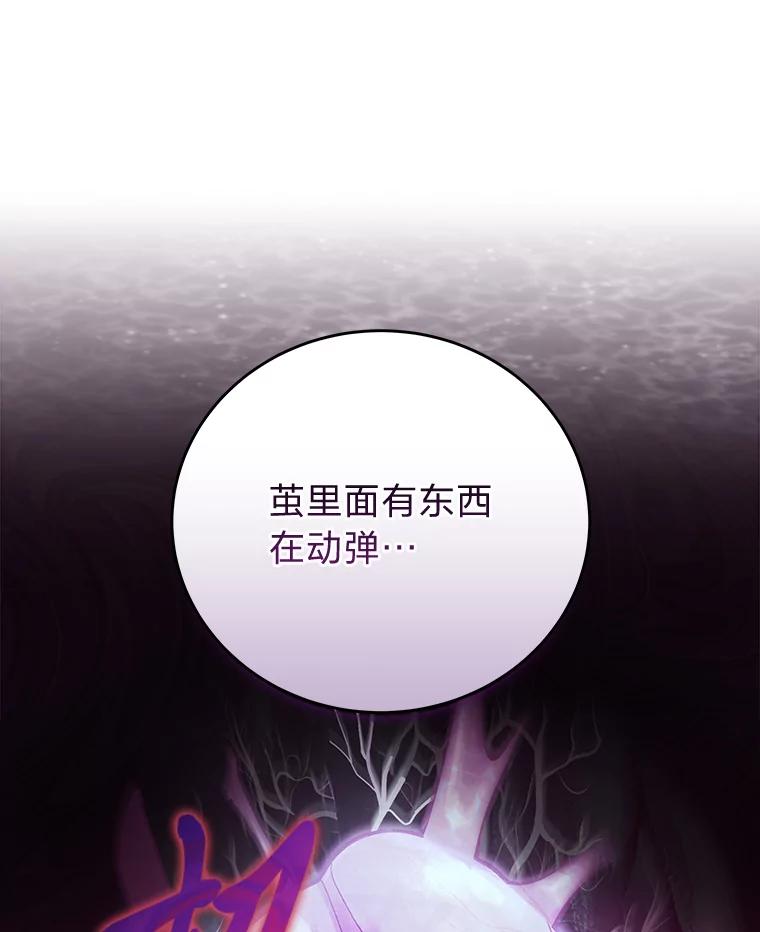 《小说里的叛逆路人甲》57.蝴蝶幼苗 第92页