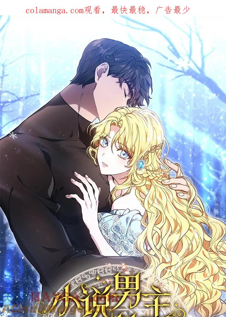 《小说男主竟是我前夫》新作来袭 第1页