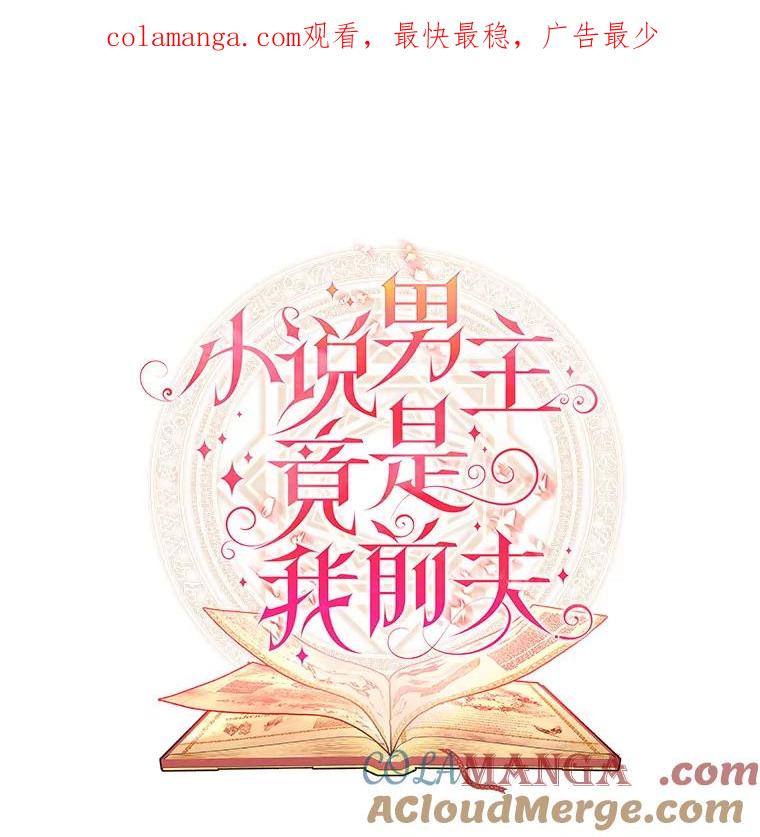 《小说男主竟是我前夫》11.另一个名字 第1页