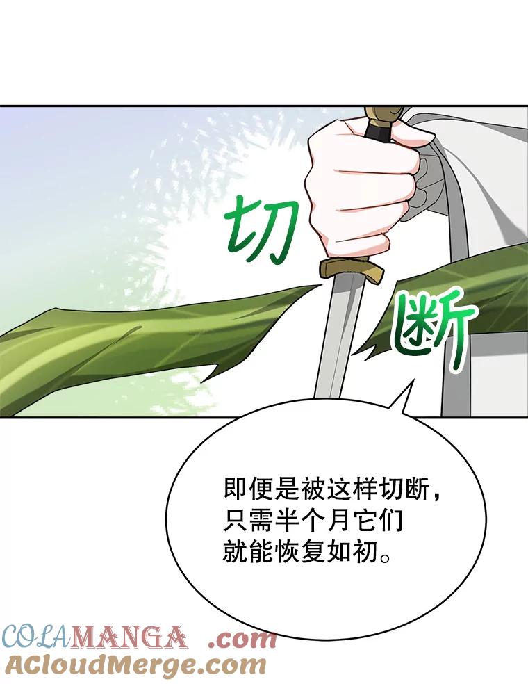 《小说男主竟是我前夫》16.一起出发 第73页