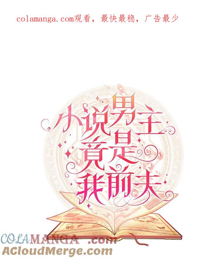 《小说男主竟是我前夫》1.穿书了 第1页