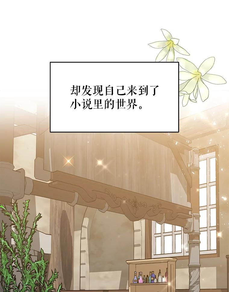《小说男主竟是我前夫》1.穿书了 第86页