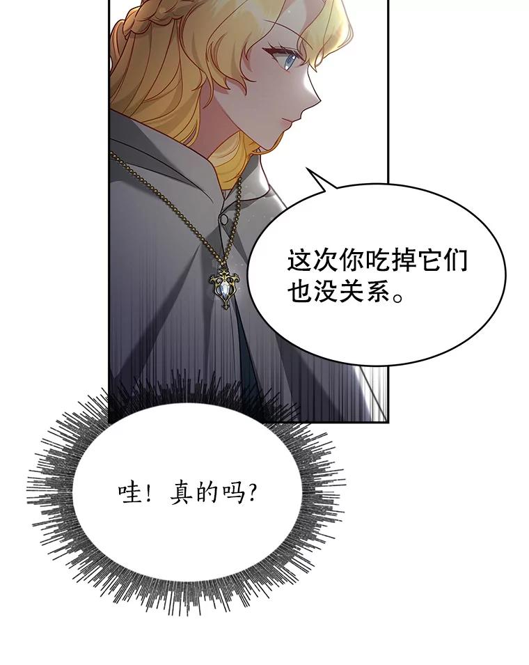 《小说男主竟是我前夫》19.救下凯利戈 第67页