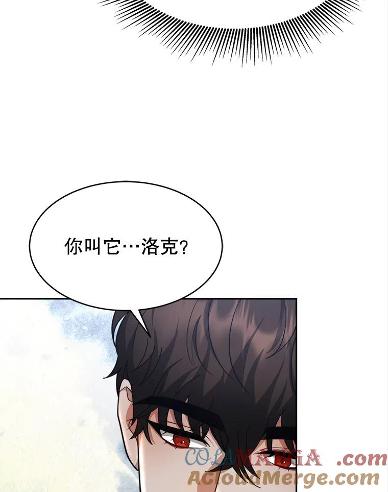 《小说男主竟是我前夫》21.你是莱娜 第37页