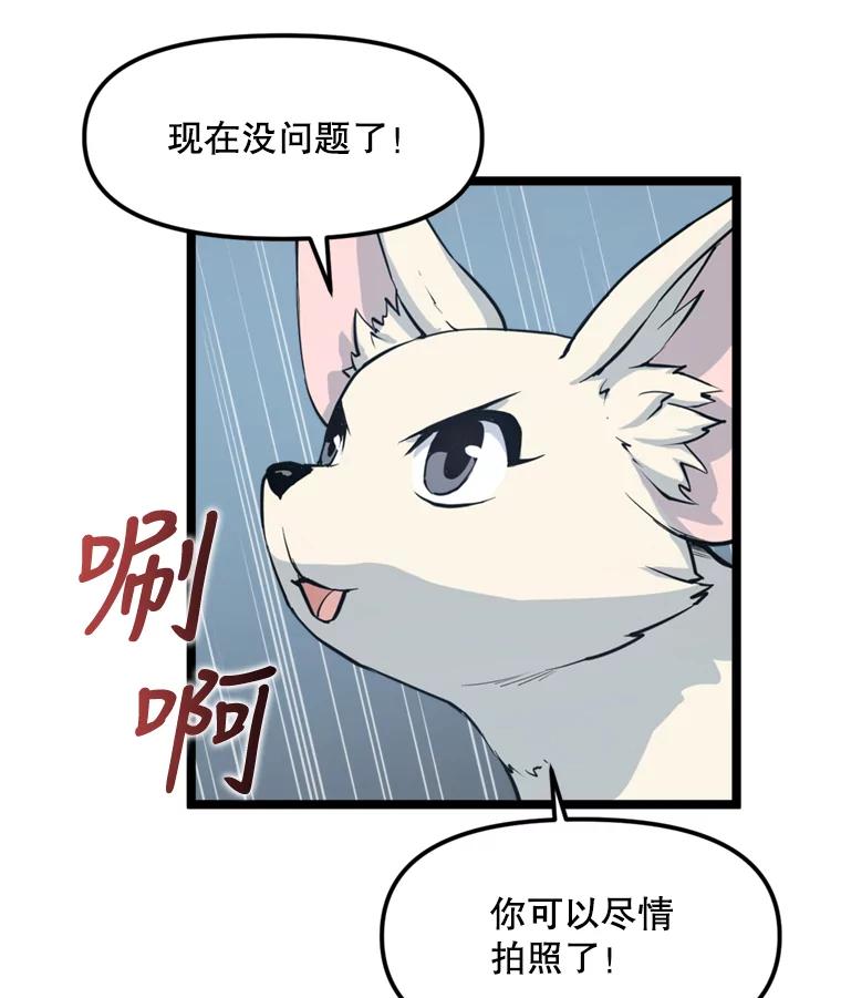 《被点赞的猎人》39.实战 第50页