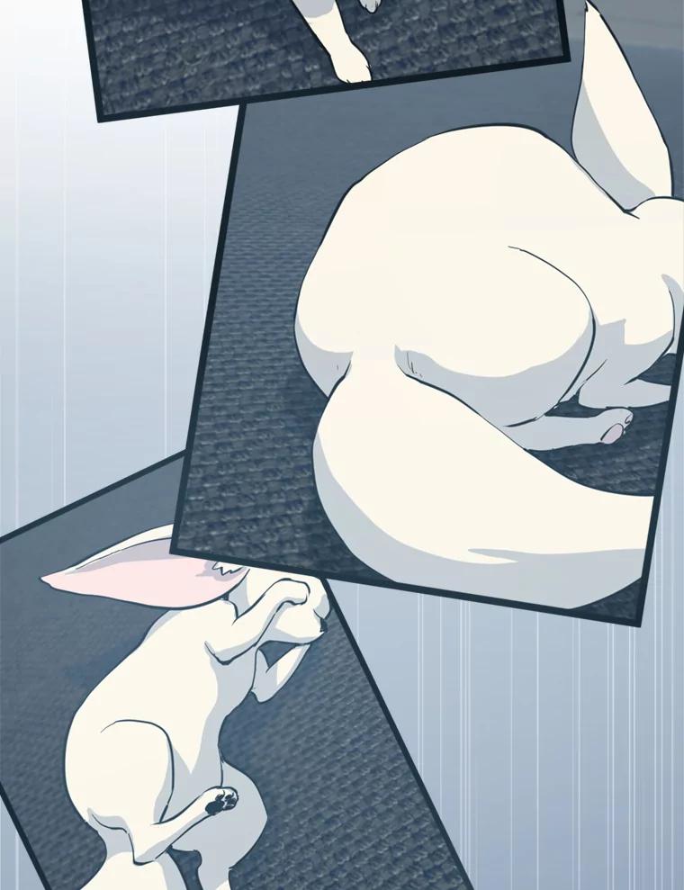 《被点赞的猎人》39.实战 第54页