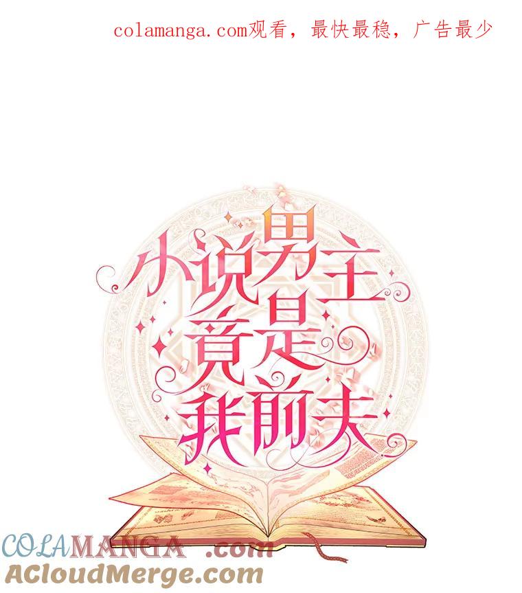 《小说男主竟是我前夫》3.了解病情 第1页