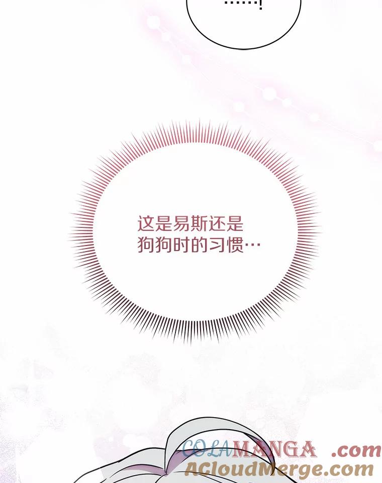 《狼犬男主的驯养师》40.永远在一起 第45页