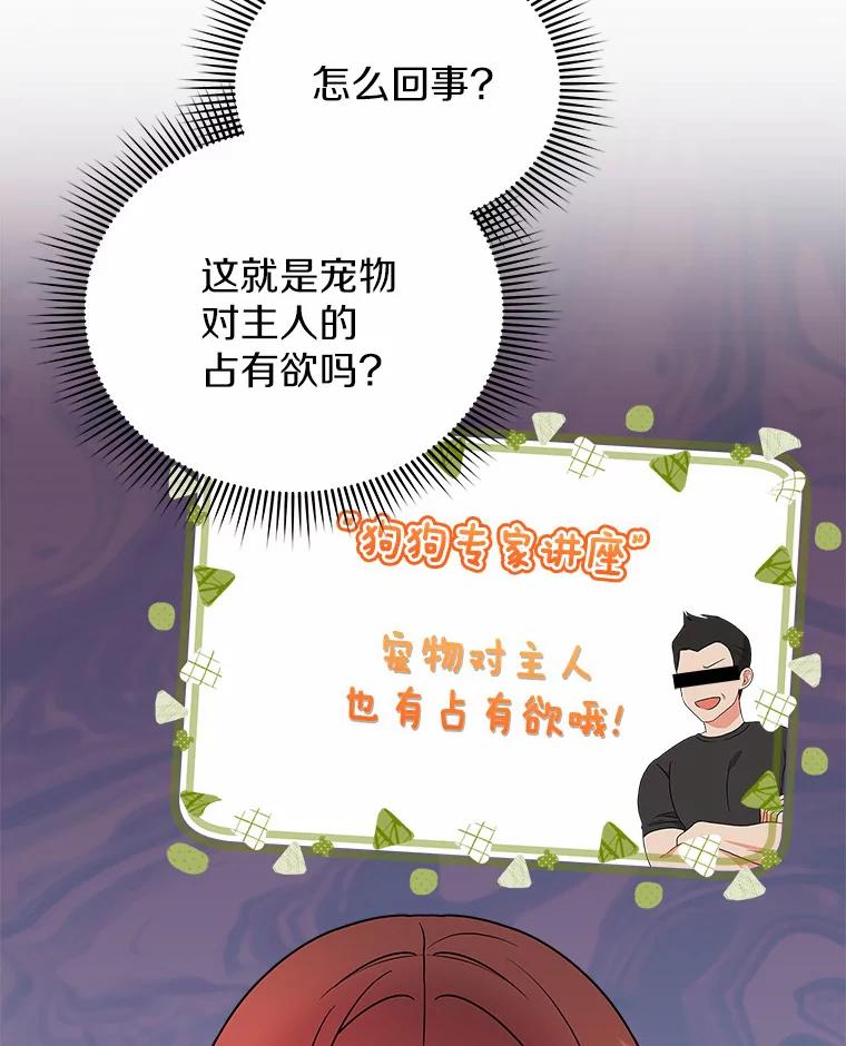 《狼犬男主的驯养师》41.蓝月商团 第39页