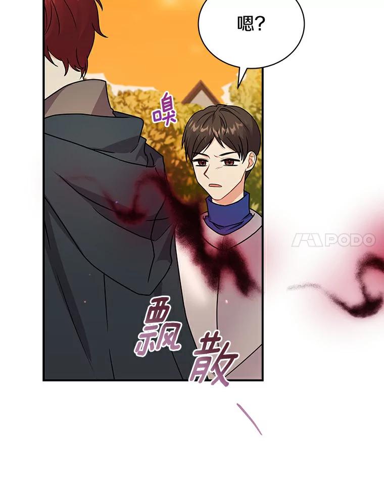 《狼犬男主的驯养师》46.潜入泰尔西翁 第95页