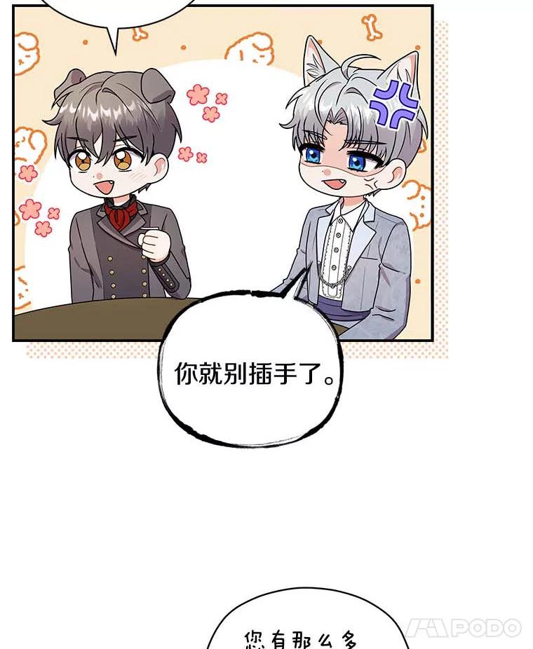 《狼犬男主的驯养师》46.潜入泰尔西翁 第72页
