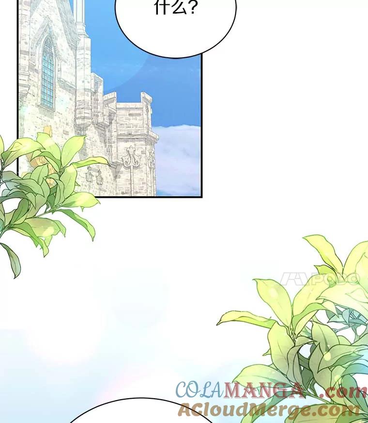 《狼犬男主的驯养师》46.潜入泰尔西翁 第45页