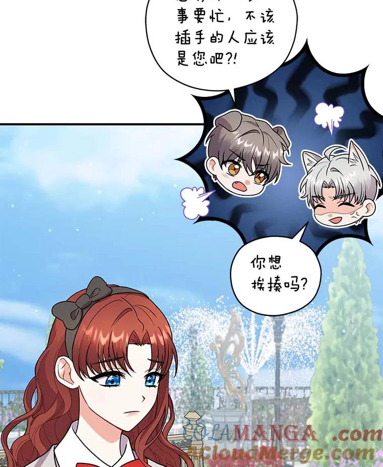 《狼犬男主的驯养师》46.潜入泰尔西翁 第73页