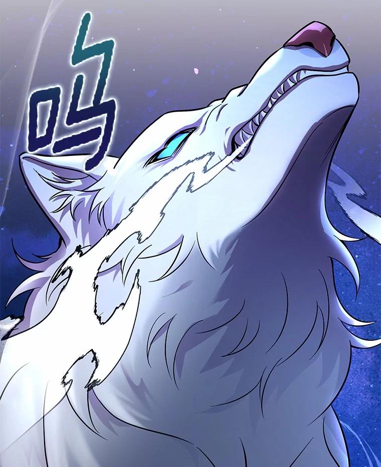 《狼犬男主的驯养师》49.白魔法师 第66页