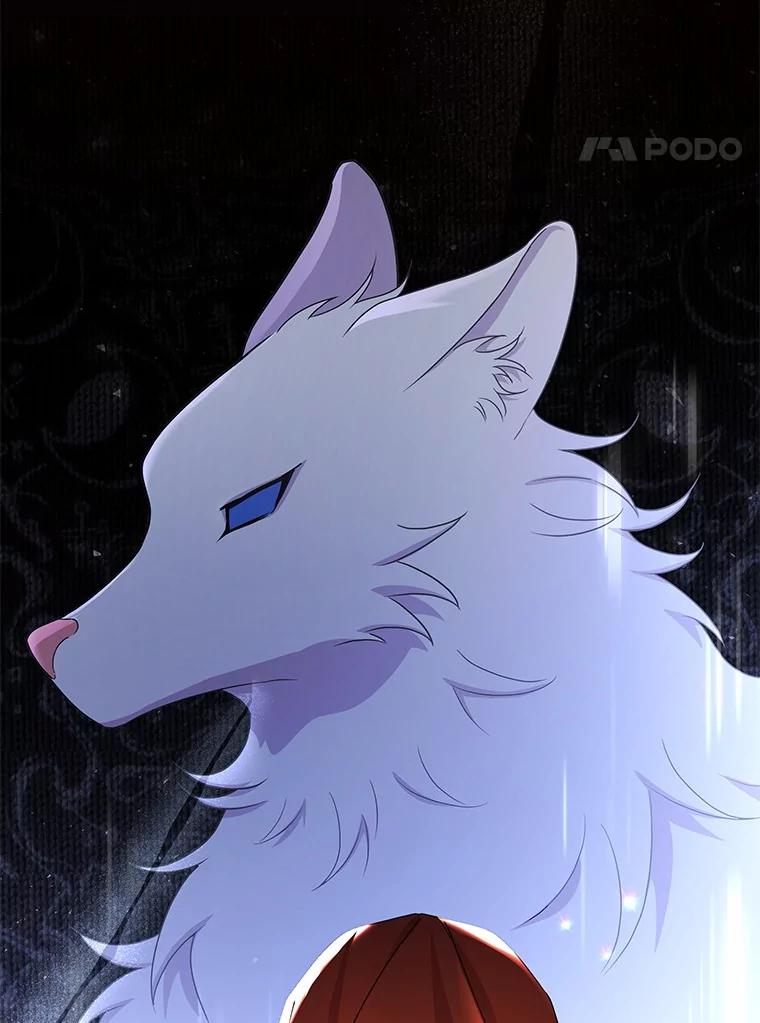 《狼犬男主的驯养师》51.赤族？ 第4页