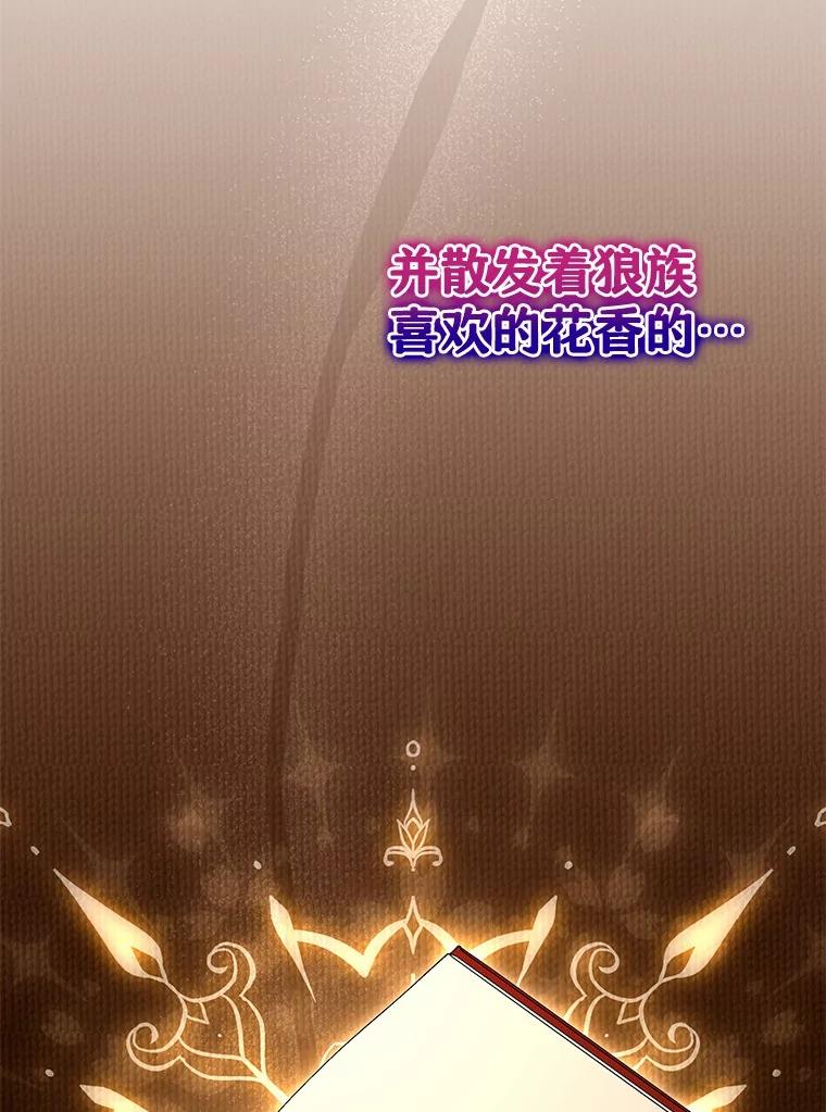 《狼犬男主的驯养师》51.赤族？ 第2页